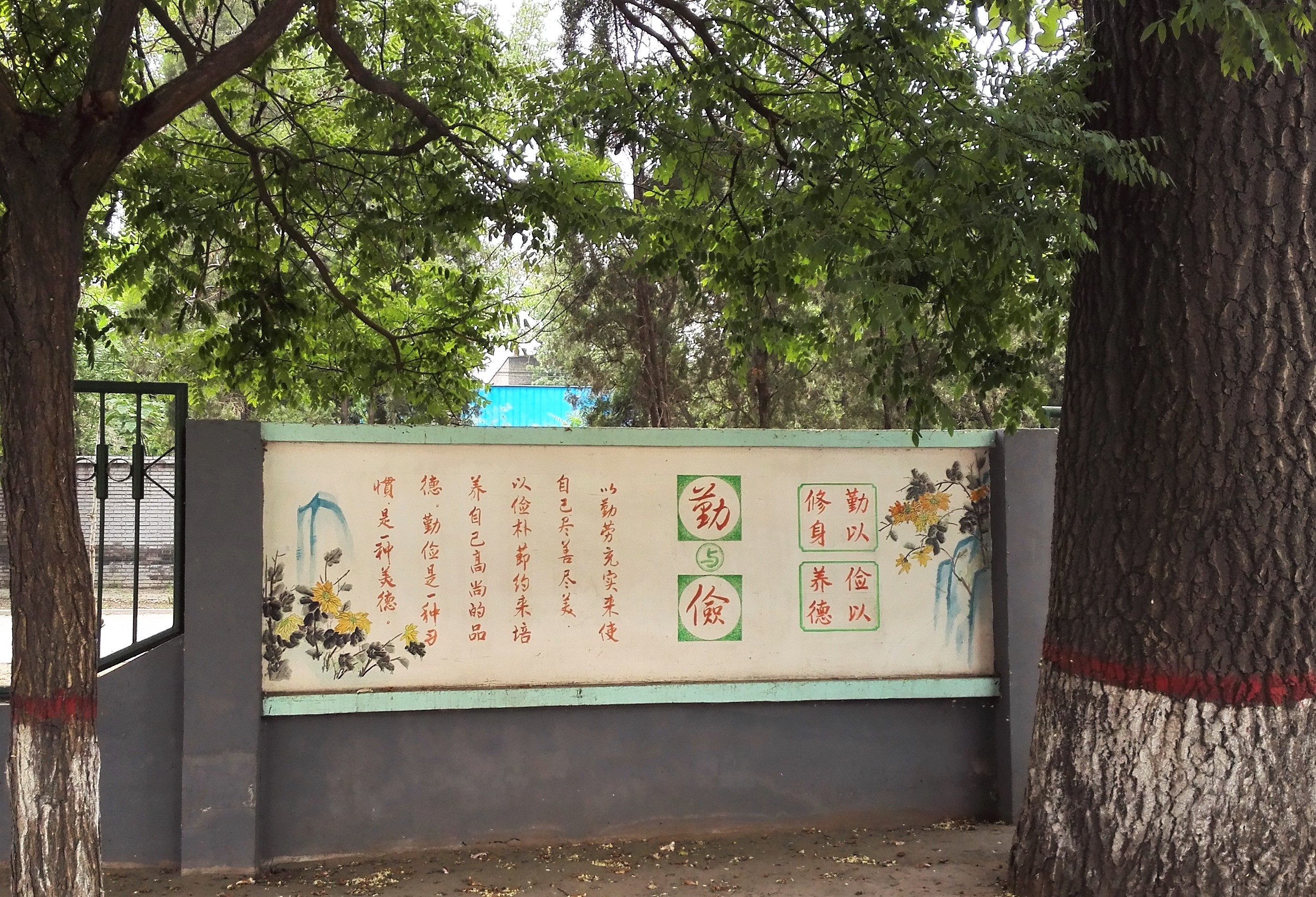 13.校园文化，根深叶茂.jpg